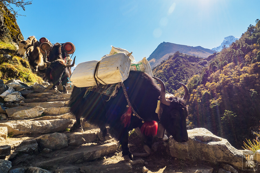 EBC珠峰基地營丁伯崎Dingboche