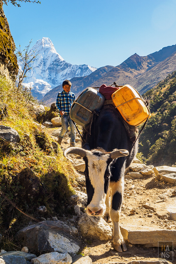 EBC珠峰基地營丁伯崎Dingboche