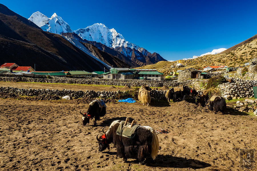 EBC珠峰基地營健行全紀錄懶人包
