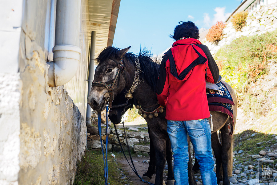 EBC珠峰基地營丁伯崎Dingboche