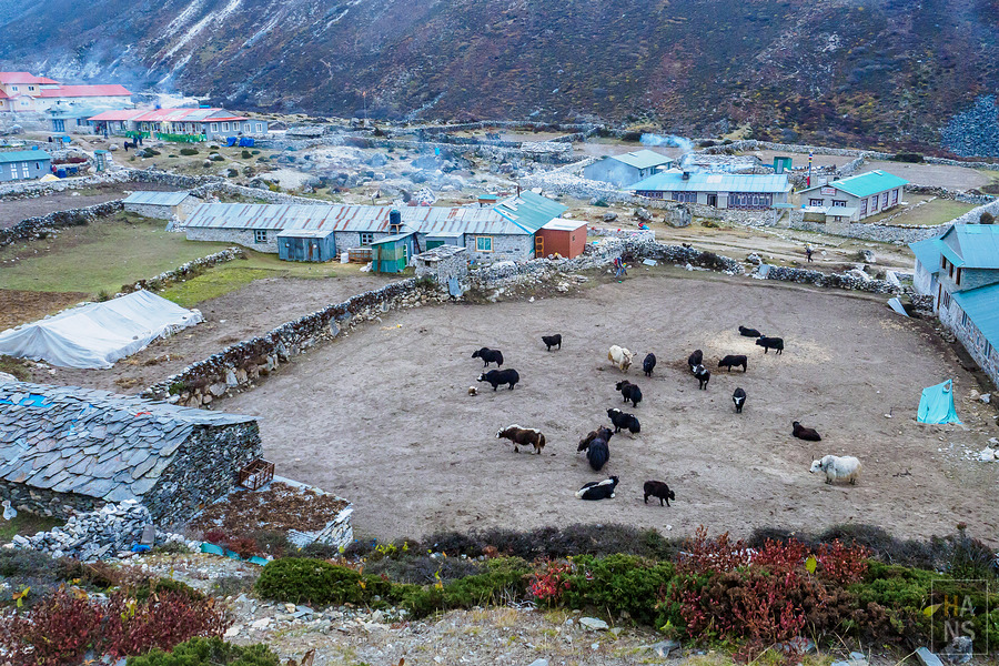 EBC珠峰基地營丁伯崎Dingboche