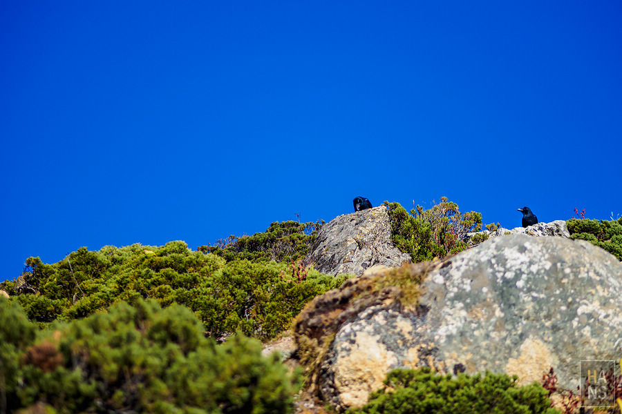 EBC珠峰基地營羅伯崎Lobuche