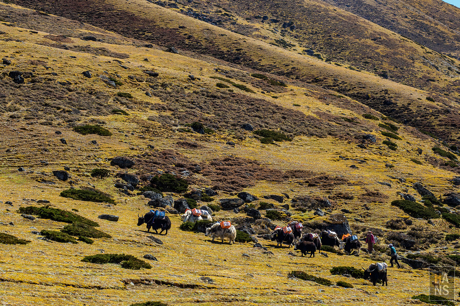 EBC珠峰基地營羅伯崎Lobuche
