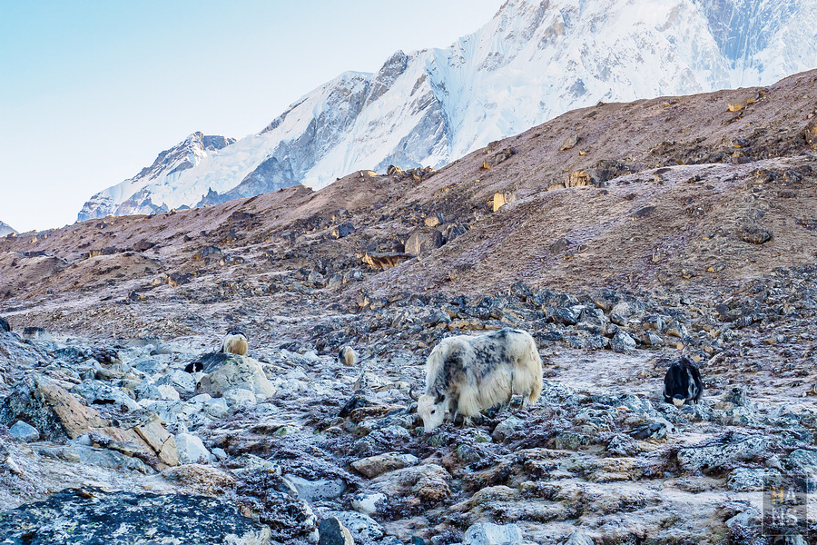 抵達EBC珠峰基地營