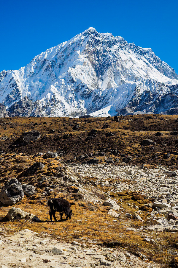抵達EBC珠峰基地營