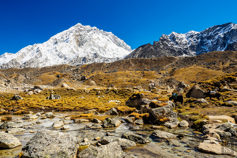 抵達EBC珠峰基地營