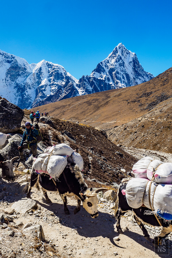抵達EBC珠峰基地營