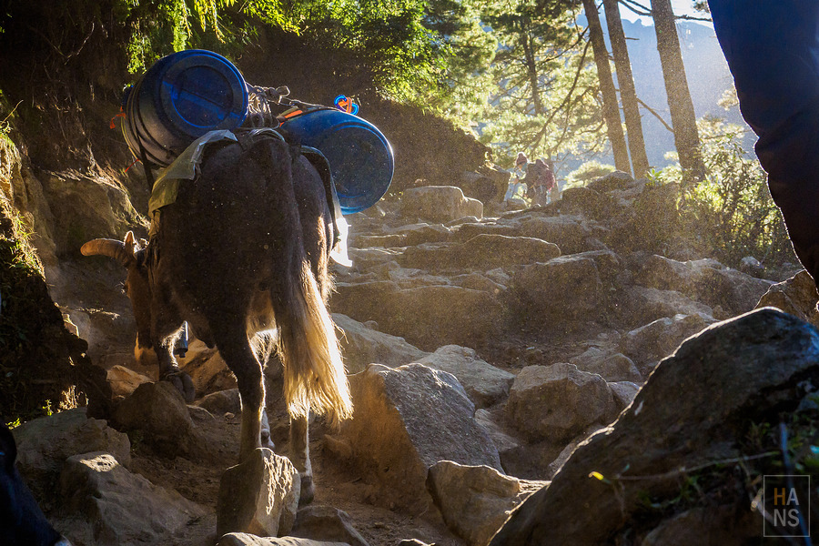 EBC珠峰基地營-從 Namche Bazaar 南崎巴札走到 Lukla 盧卡拉