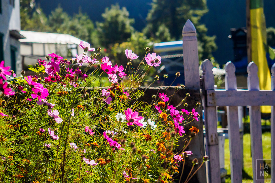 EBC珠峰基地營-從 Namche Bazaar 南崎巴札走到 Lukla 盧卡拉