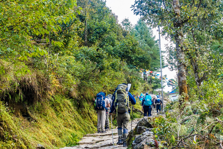 EBC珠峰基地營-從 Namche Bazaar 南崎巴札走到 Lukla 盧卡拉