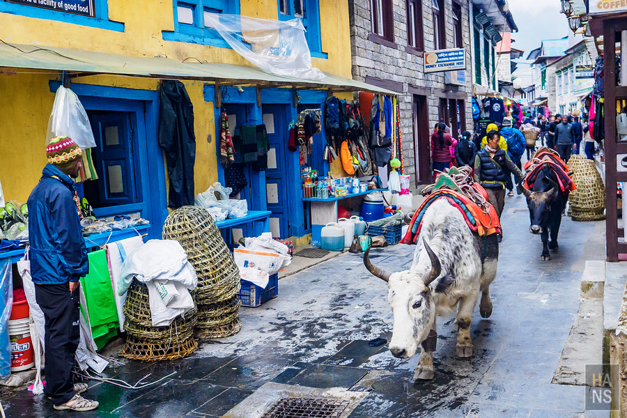 EBC珠峰基地營-從 Namche Bazaar 南崎巴札走到 Lukla 盧卡拉