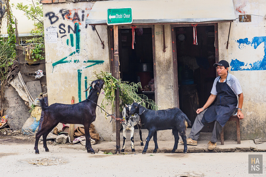 EBC珠峰基地營-加德滿都塔美爾區市區觀光