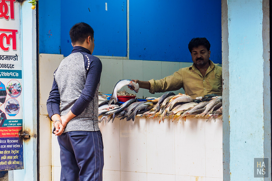 EBC珠峰基地營-加德滿都塔美爾區市區觀光