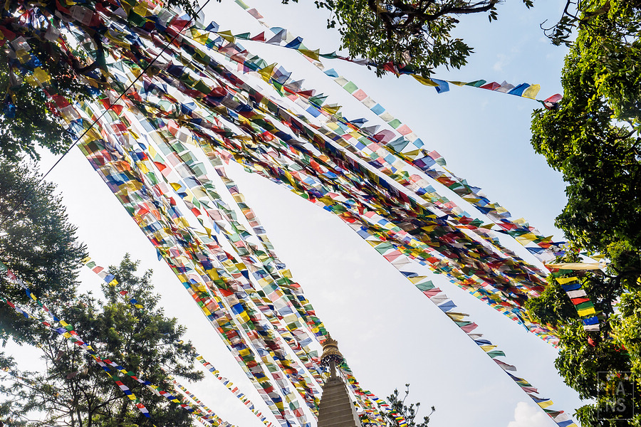 Swayambhunath Temple 斯瓦揚布納特寺、猴廟、四眼天神廟