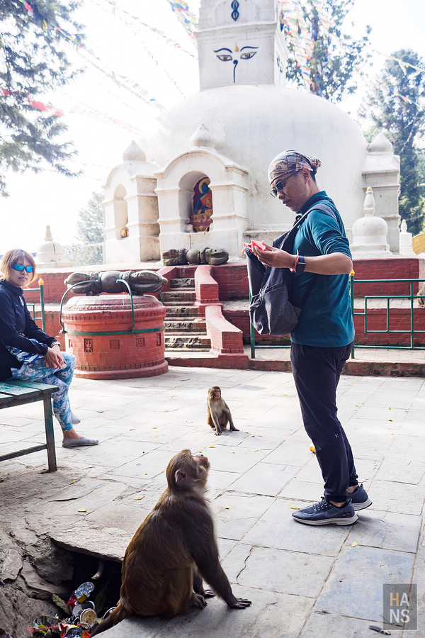 Swayambhunath Temple 斯瓦揚布納特寺、猴廟、四眼天神廟