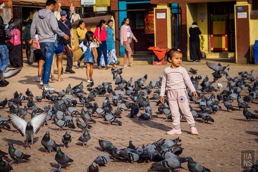 EBC珠峰基地營健行全紀錄懶人包