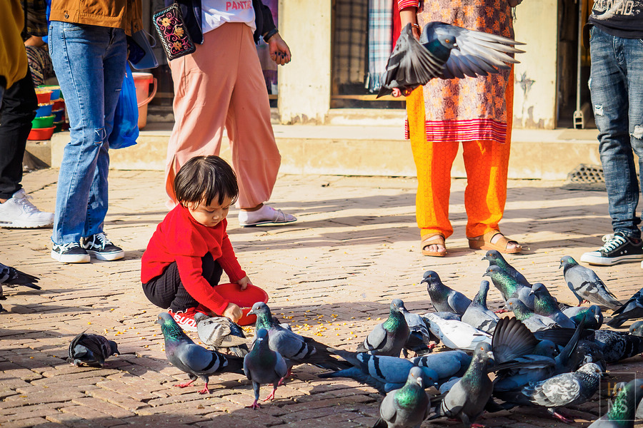 Boudhanath Stupa 博達哈大佛塔