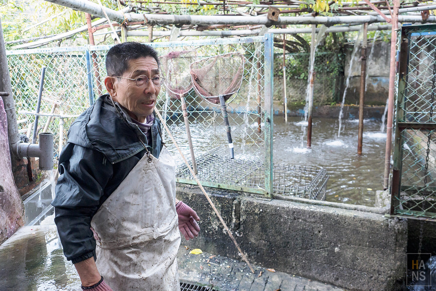 ひのでや鯉魚料理