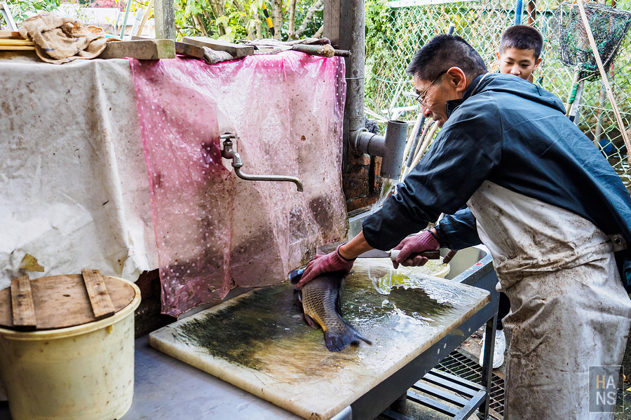 佐賀縣小城市旅行