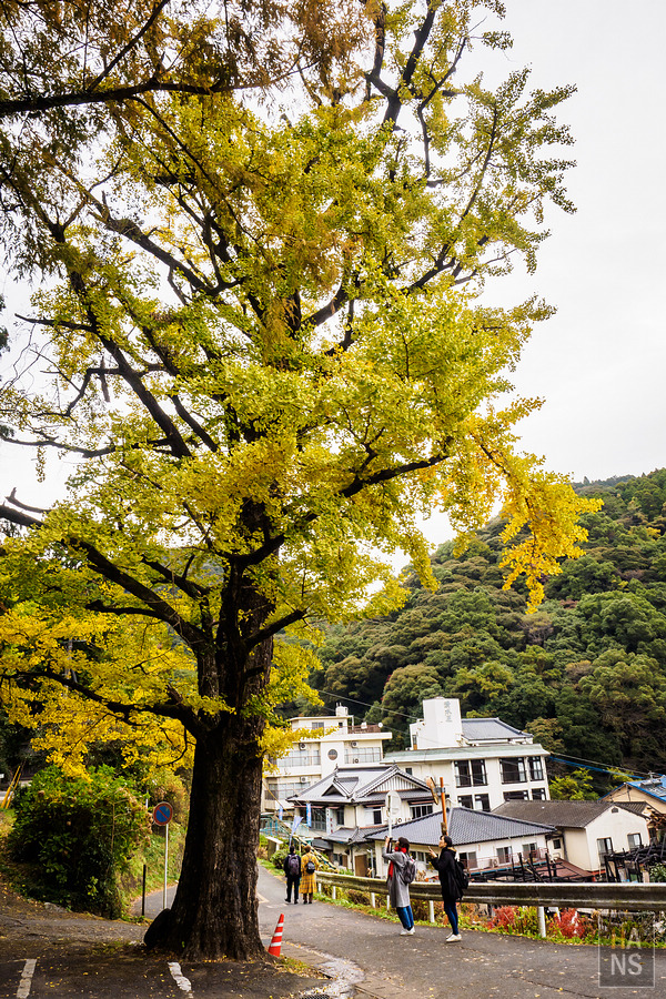 佐賀小城清水瀑布