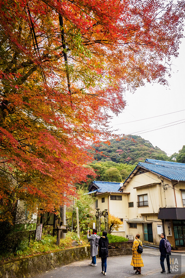 佐賀小城清水瀑布