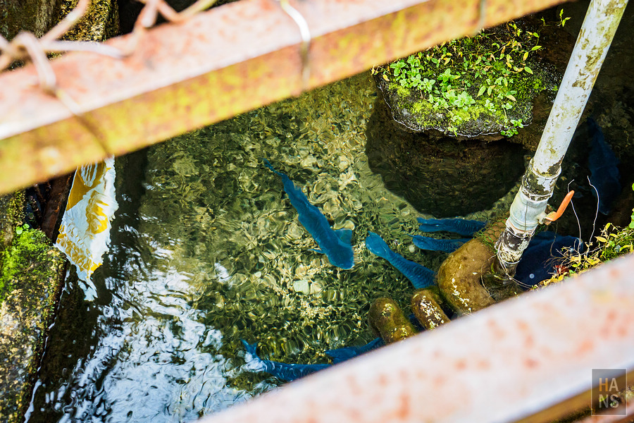 佐賀小城清水瀑布