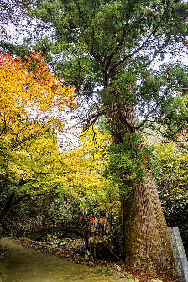佐賀縣小城市旅行