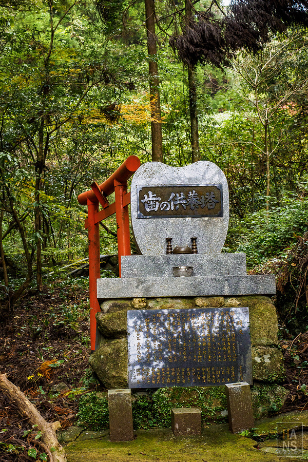 佐賀小城清水瀑布
