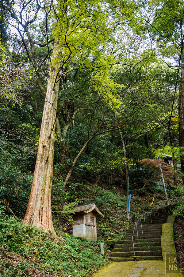 佐賀小城清水瀑布
