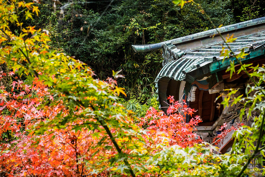 佐賀小城清水瀑布