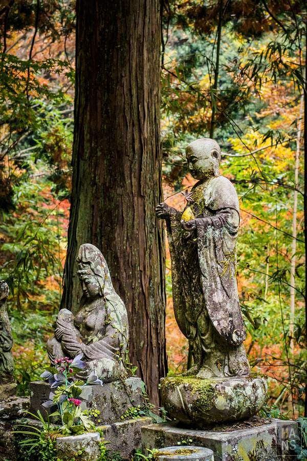 佐賀小城清水瀑布