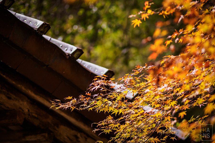 佐賀小城清水瀑布