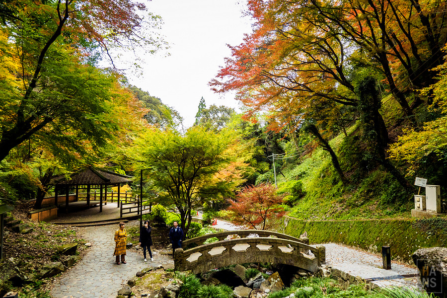 佐賀小城清水瀑布