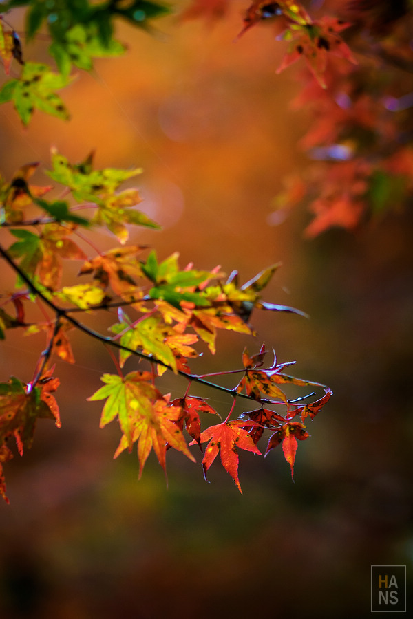佐賀小城清水瀑布