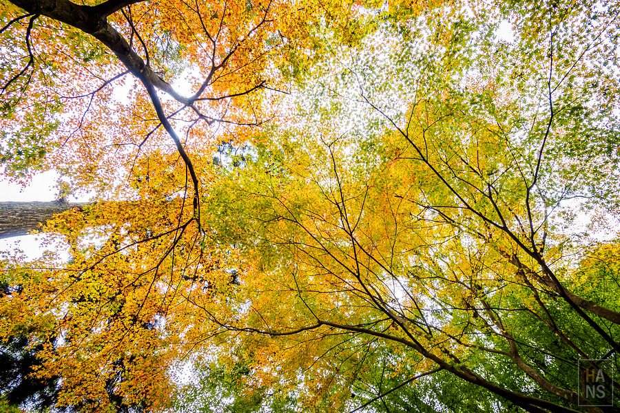 佐賀小城清水瀑布