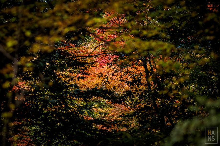 佐賀小城清水瀑布