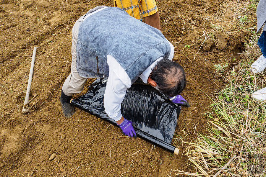 いやしの宿ほのか 一泊二食農泊體驗