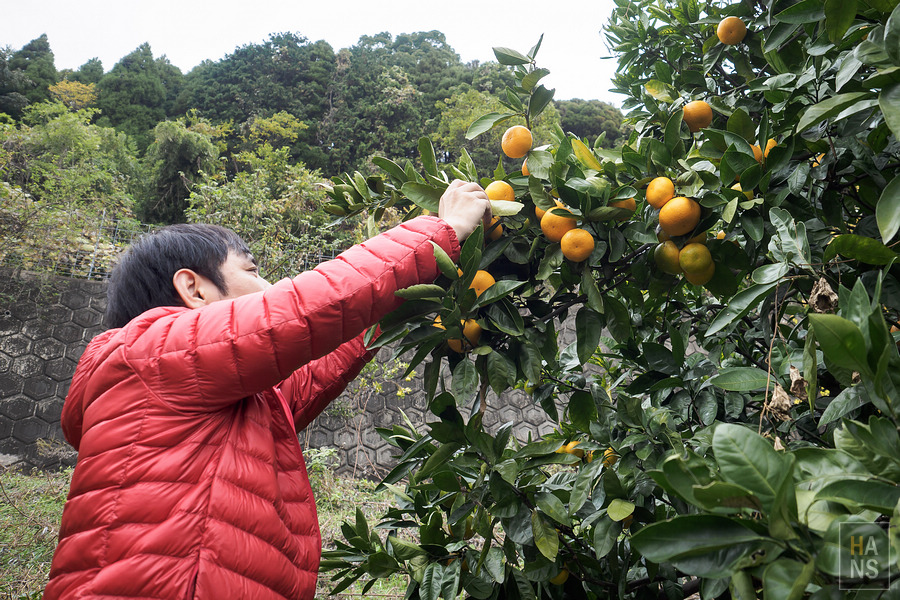 いやしの宿ほのか 一泊二食農泊體驗