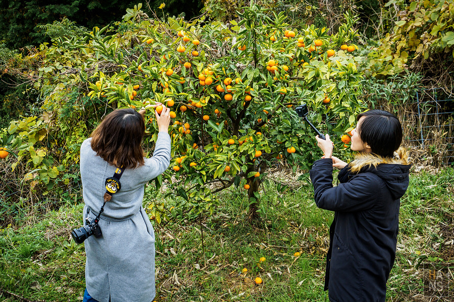いやしの宿ほのか 一泊二食農泊體驗