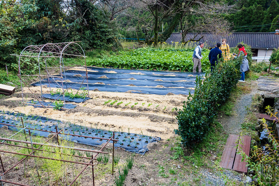 いやしの宿ほのか 一泊二食農泊體驗