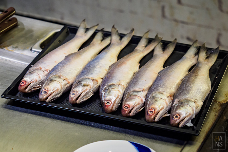 台北大初鐵板燒teppanyaki