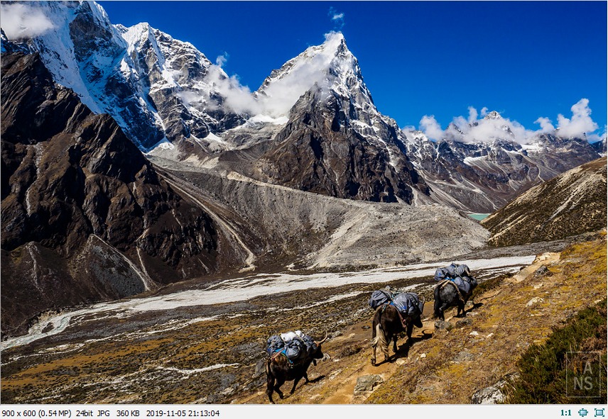 EaseUS Data Recovery Wizard