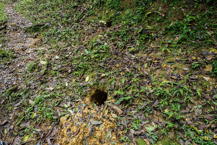 淡蘭古道烏山古道