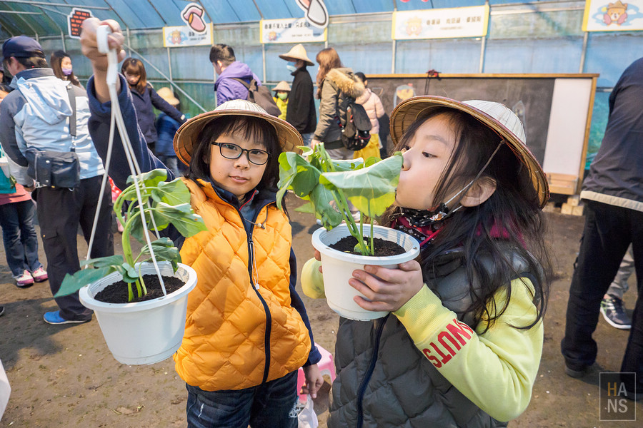 台灣好湯金山萬里溫泉小旅行