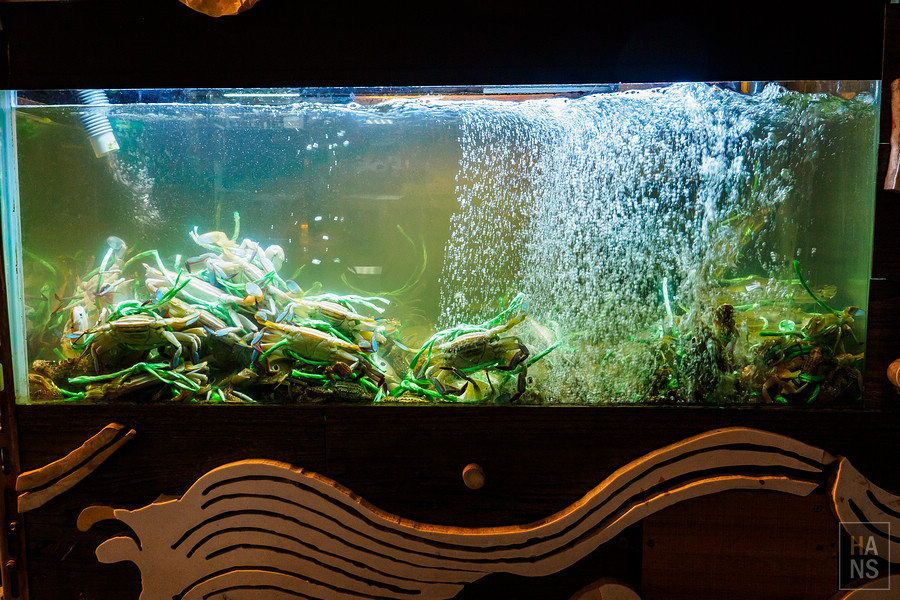 台灣好湯金山萬里溫泉小旅行