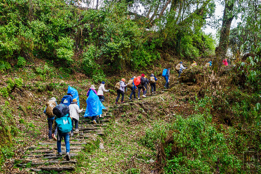 馬蹄山群健行 Mardi Himal Trek