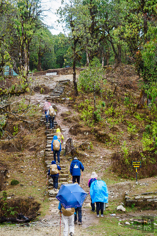 馬蹄山群健行 Mardi Himal Trek