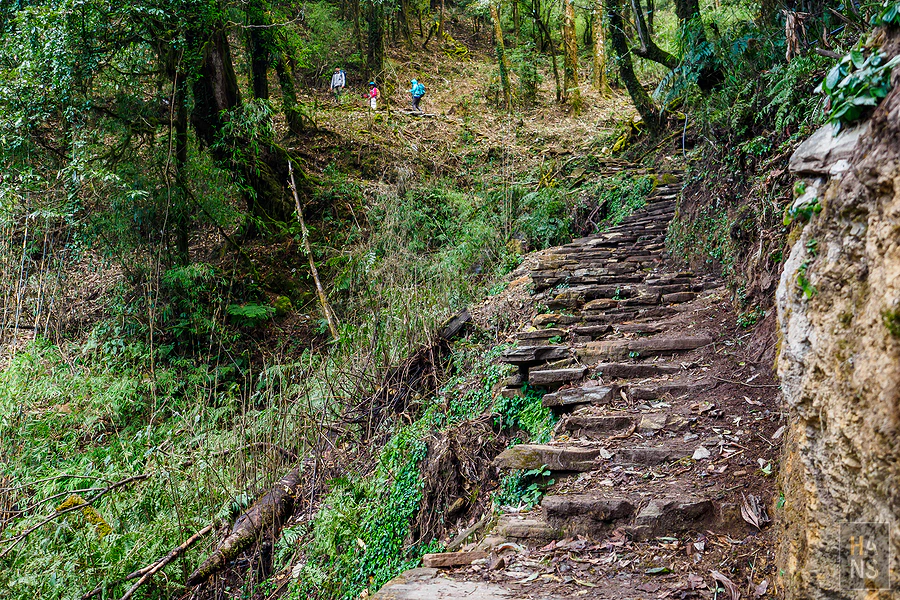 馬蹄山群健行 Mardi Himal Trek