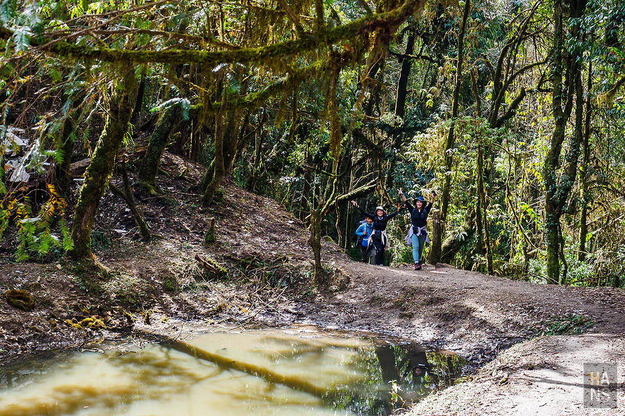 馬蹄山群健行 Mardi Himal Trek