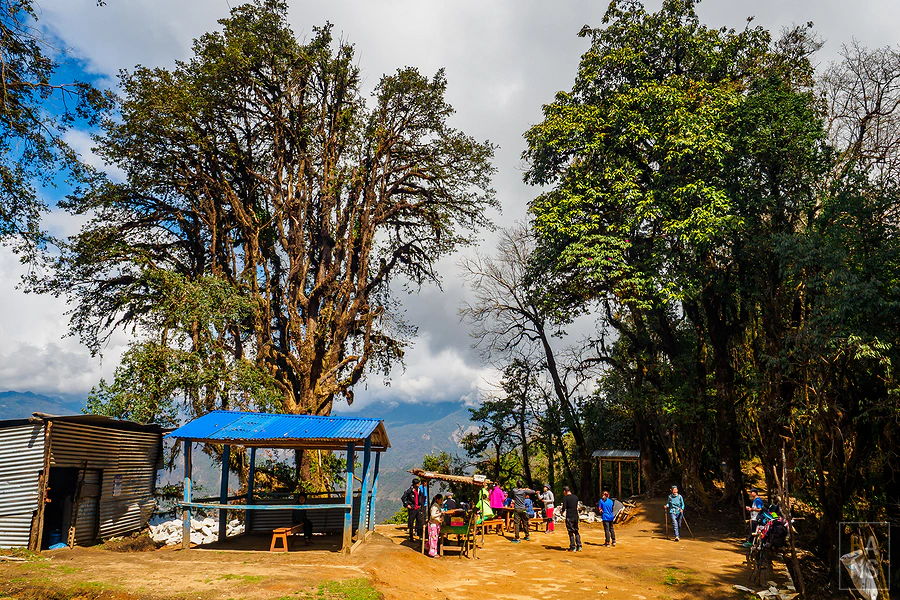 馬蹄山群健行 Mardi Himal Trek
